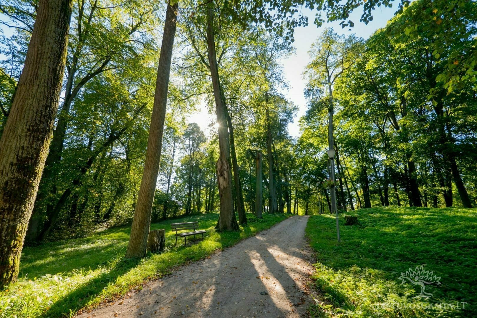 Lietuvos dvarų parkai – gamtos ir žmogaus rankų darbo šedevrai