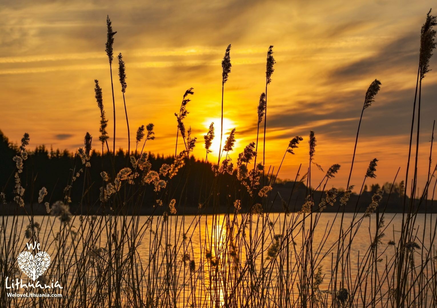 Gęstantis pavasario saulėlydis We love Lithuania