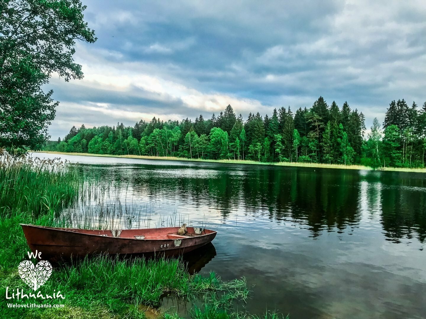 Vakarejanti zaluma We love Lithuania