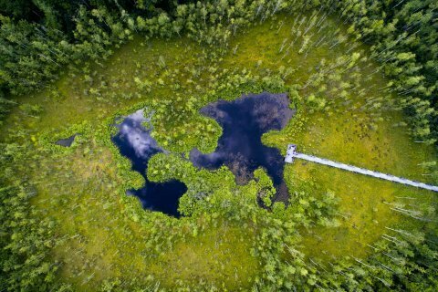 Metelių regioninis parkas, Dusios ir Metelio ežerų pietrytinė tarpuežerio dalis. 
