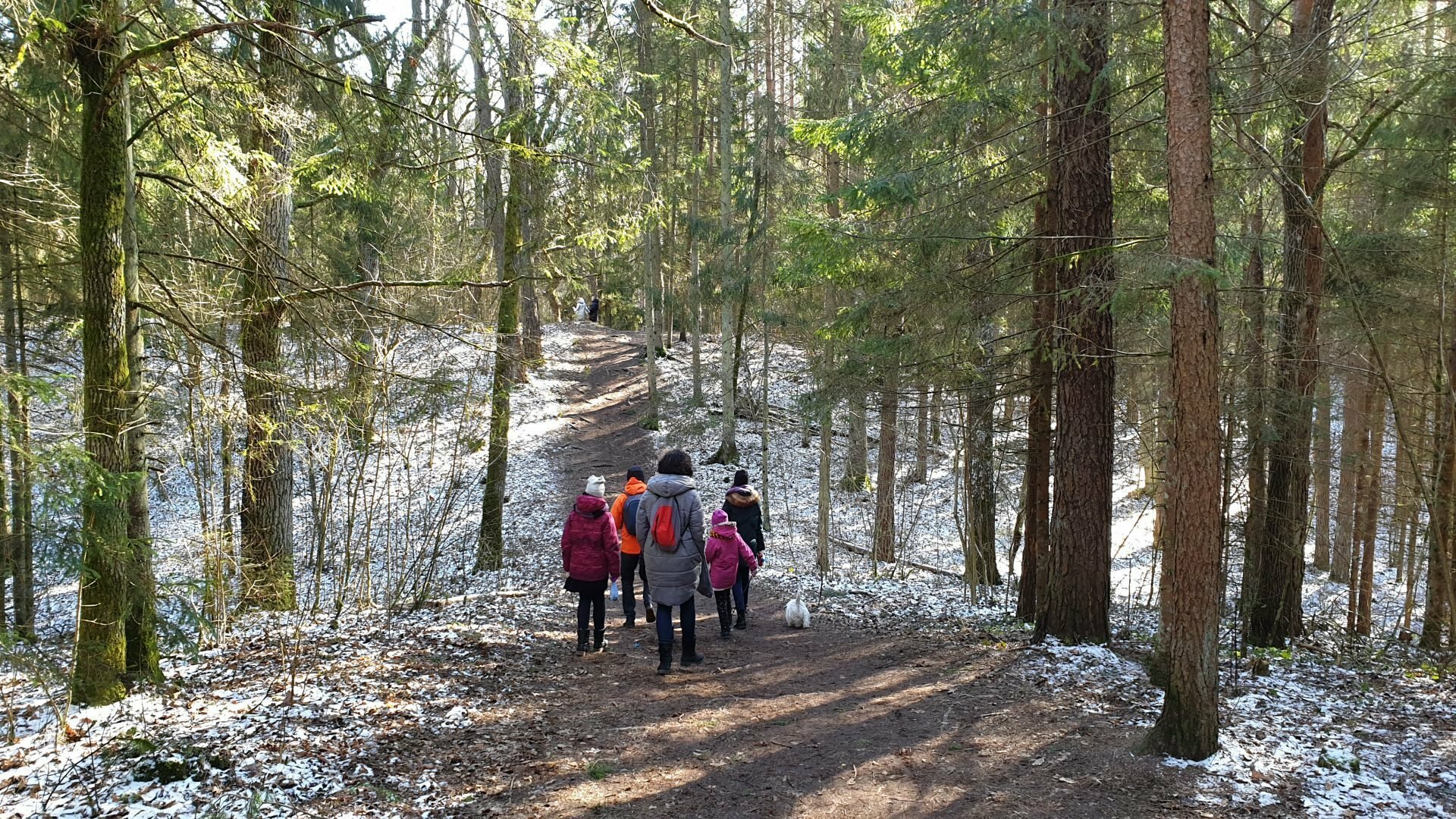 Varnikų pažintinis takas