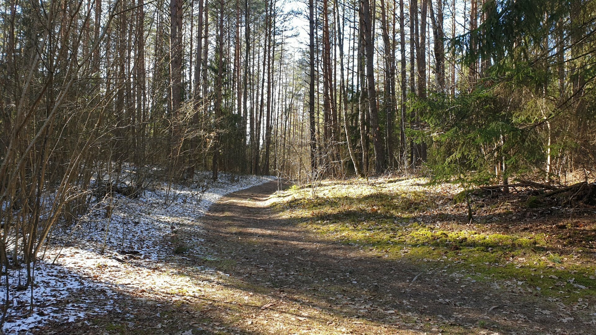 Varnikų pažintinis takas