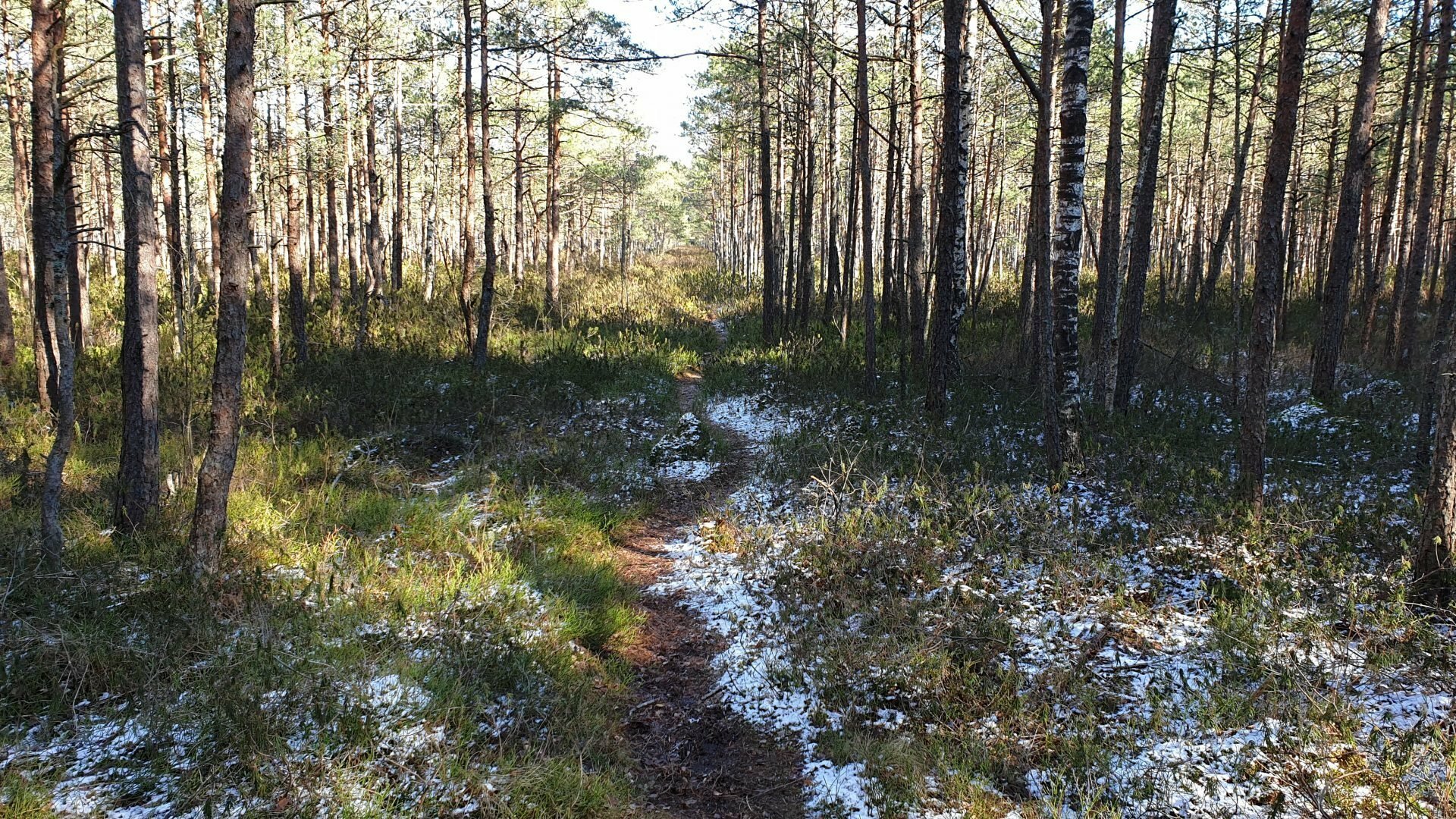 Varnikų pažintinis takas