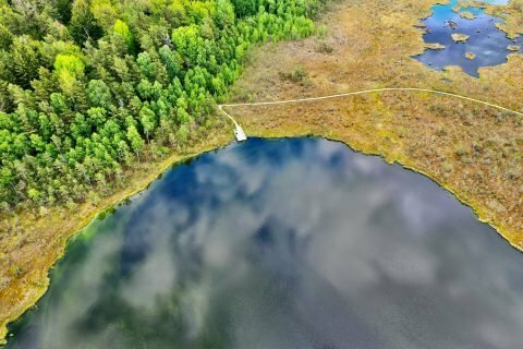 Varnikų pažintinis takas yra netoli Varnikų kaimo. Takas vinguriuoja per pelkes ir yra tarp dviejų ežerų. Tako Ilgis apie 3,5 km. 