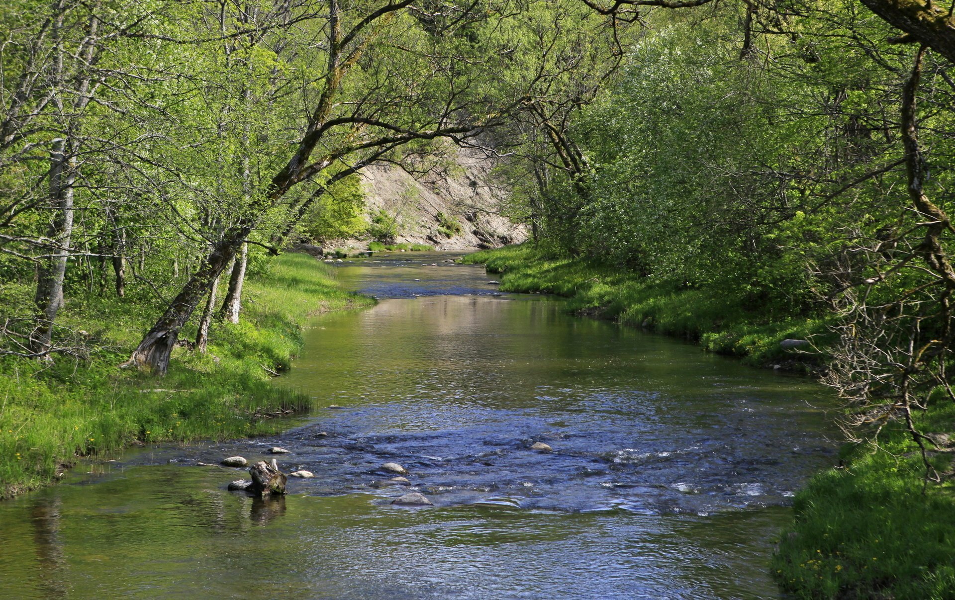 Pagramančio regioninis parkas