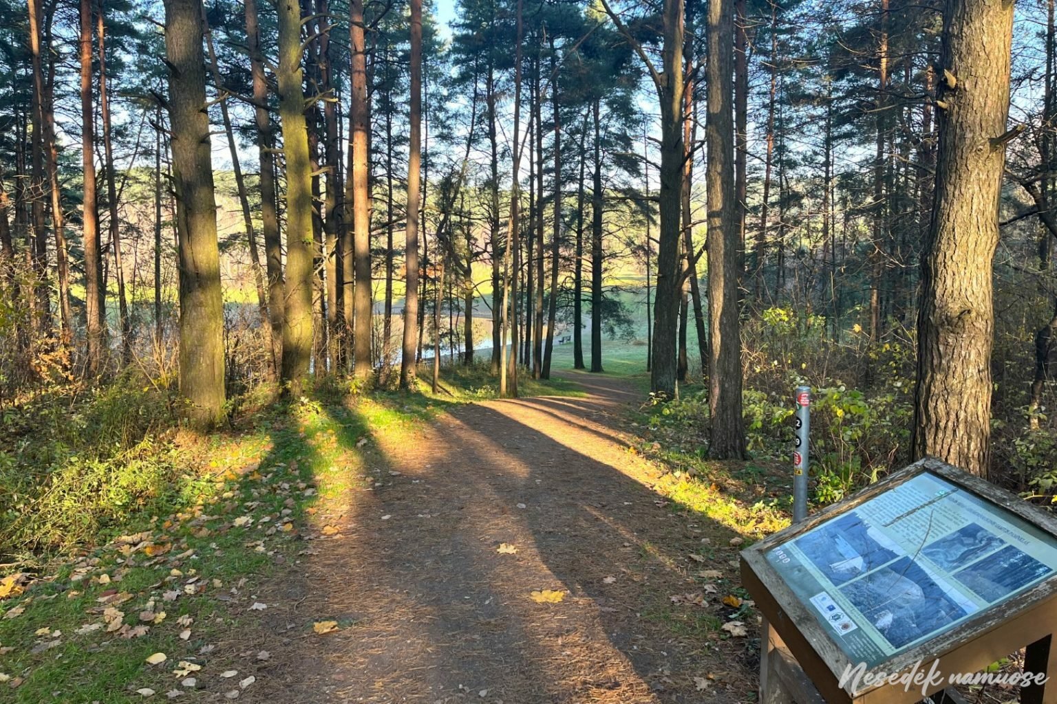 100 Km. Takas Aplink Vilnių: VII Atkarpa – Biologiniais Koridoriais Iš ...