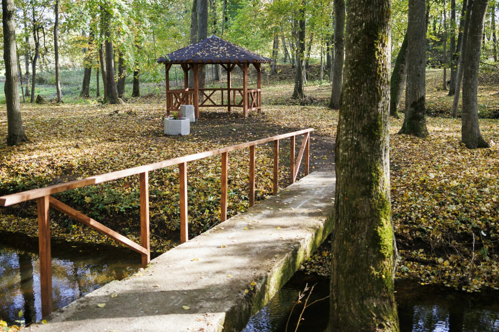 Markutiškių parkas 