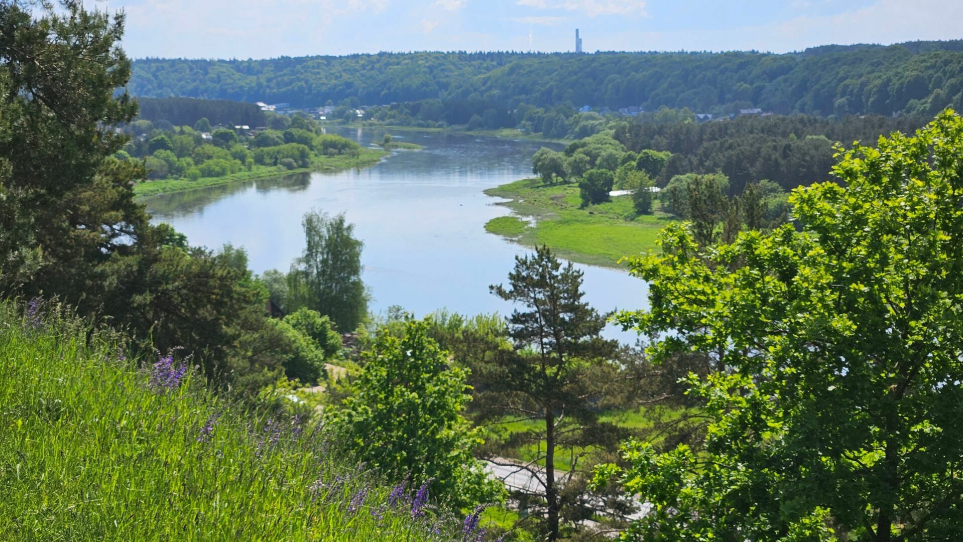 Vaizdas nuo Lentainių piliakalnio, trip.lt