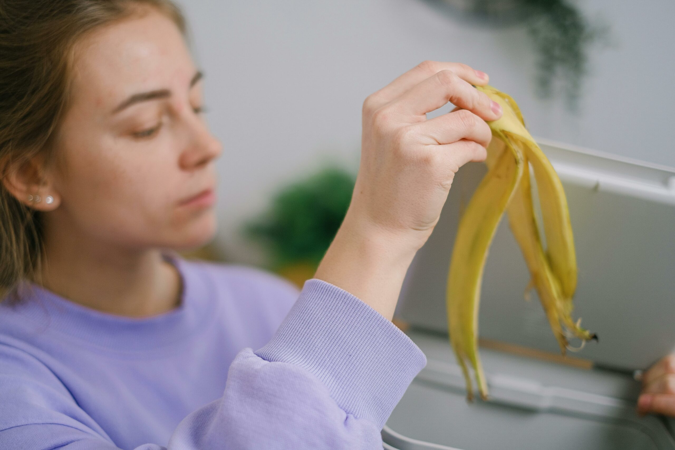 5 veiksmingos natūralios trąšos kambariniams augalams