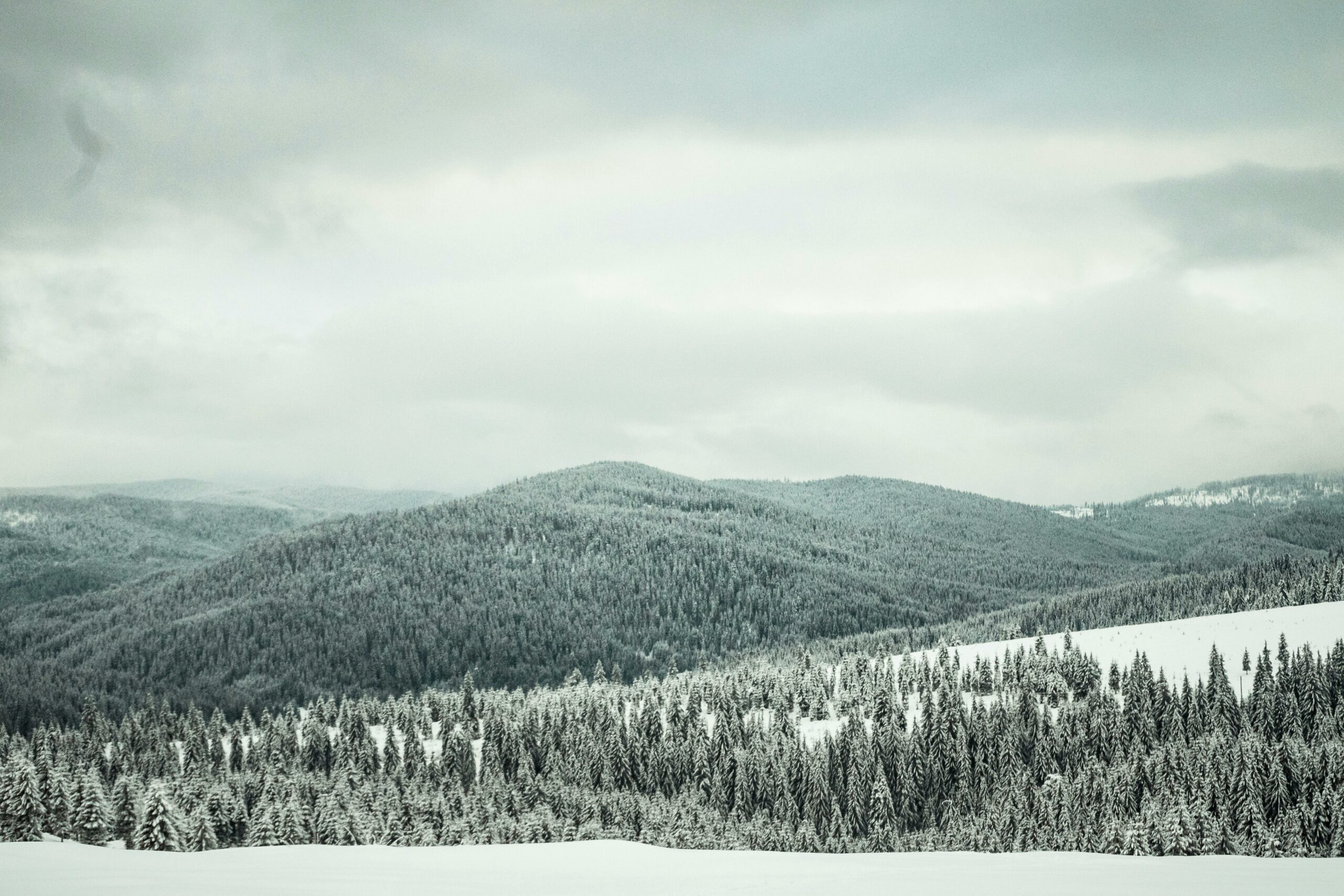 Senolių orų pranašystės pagal gruodį